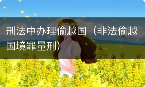 刑法中办理偷越国（非法偷越国境罪量刑）
