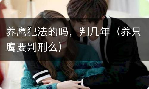 养鹰犯法的吗，判几年（养只鹰要判刑么）