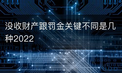没收财产跟罚金关键不同是几种2022