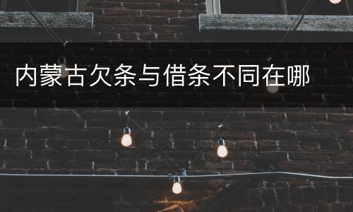 内蒙古欠条与借条不同在哪