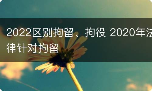 2022区别拘留、拘役 2020年法律针对拘留