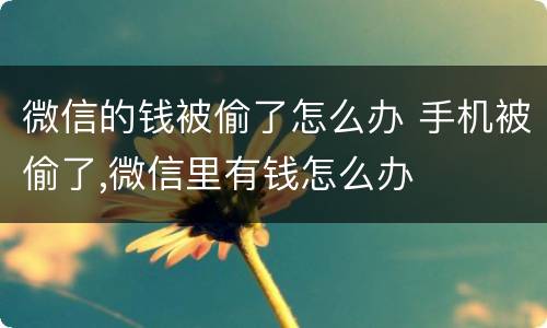 微信的钱被偷了怎么办 手机被偷了,微信里有钱怎么办