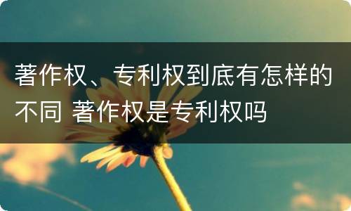 著作权、专利权到底有怎样的不同 著作权是专利权吗