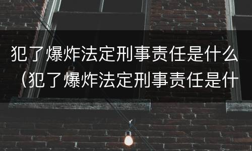 犯了爆炸法定刑事责任是什么（犯了爆炸法定刑事责任是什么罪）