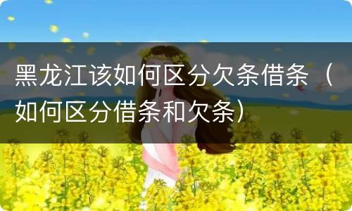 黑龙江该如何区分欠条借条（如何区分借条和欠条）
