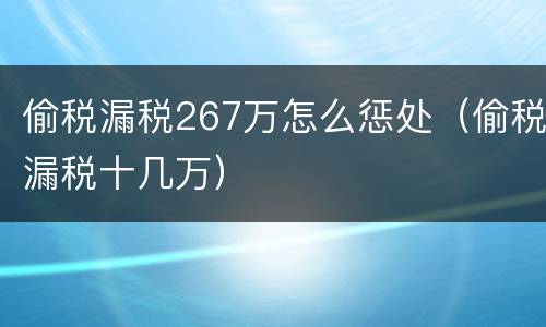 偷税漏税267万怎么惩处（偷税漏税十几万）