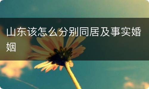 山东该怎么分别同居及事实婚姻