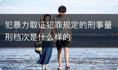 犯暴力取证犯罪规定的刑事量刑档次是什么样的