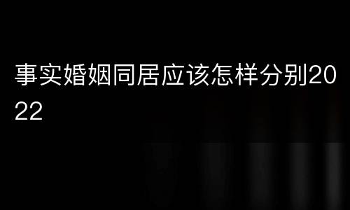 事实婚姻同居应该怎样分别2022