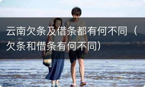 云南欠条及借条都有何不同（欠条和借条有何不同）