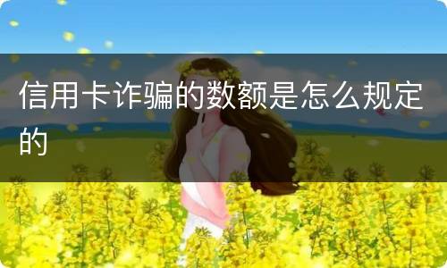 信用卡诈骗的数额是怎么规定的