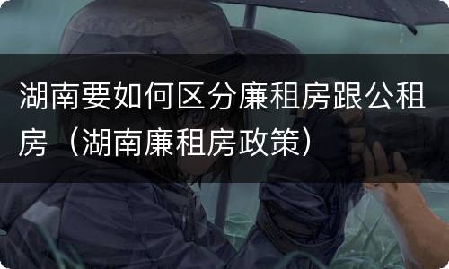 湖南要如何区分廉租房跟公租房（湖南廉租房政策）