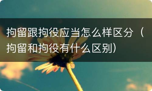 拘留跟拘役应当怎么样区分（拘留和拘役有什么区别）