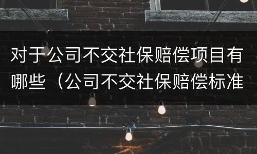 对于公司不交社保赔偿项目有哪些（公司不交社保赔偿标准）