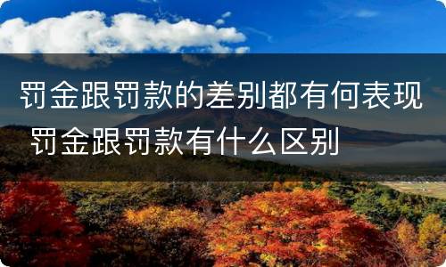 罚金跟罚款的差别都有何表现 罚金跟罚款有什么区别