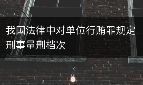 我国法律中对单位行贿罪规定刑事量刑档次