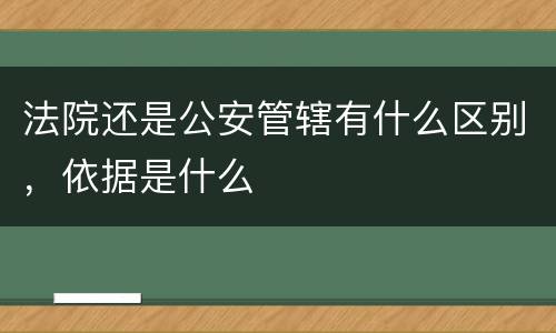 法院还是公安管辖有什么区别，依据是什么