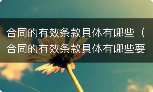 合同的有效条款具体有哪些（合同的有效条款具体有哪些要求）