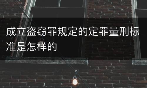 成立盗窃罪规定的定罪量刑标准是怎样的