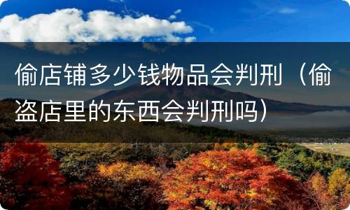 偷店铺多少钱物品会判刑（偷盗店里的东西会判刑吗）