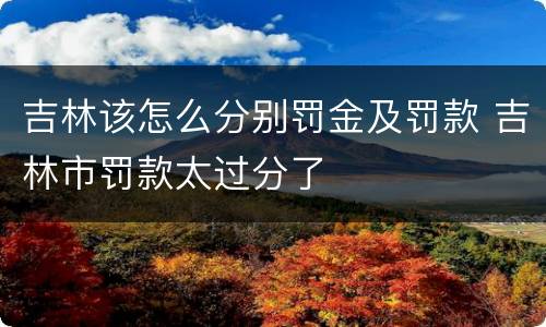 吉林该怎么分别罚金及罚款 吉林市罚款太过分了