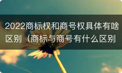 2022商标权和商号权具体有啥区别（商标与商号有什么区别）