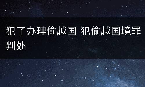 犯了办理偷越国 犯偷越国境罪判处