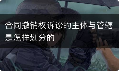 合同撤销权诉讼的主体与管辖是怎样划分的