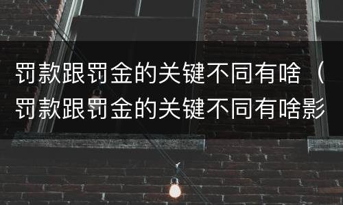 罚款跟罚金的关键不同有啥（罚款跟罚金的关键不同有啥影响）