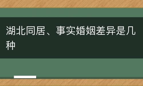 湖北同居、事实婚姻差异是几种
