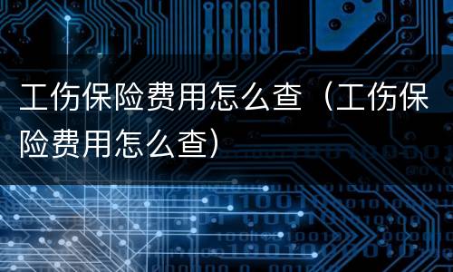工伤保险费用怎么查（工伤保险费用怎么查）