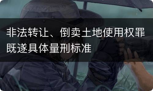 非法转让、倒卖土地使用权罪既遂具体量刑标准