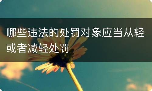 哪些违法的处罚对象应当从轻或者减轻处罚