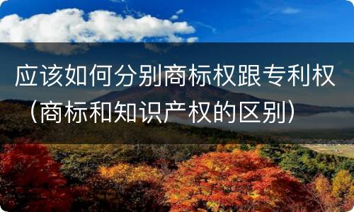 应该如何分别商标权跟专利权（商标和知识产权的区别）