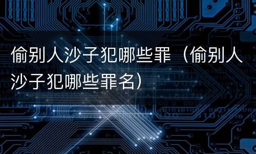 偷别人沙子犯哪些罪（偷别人沙子犯哪些罪名）