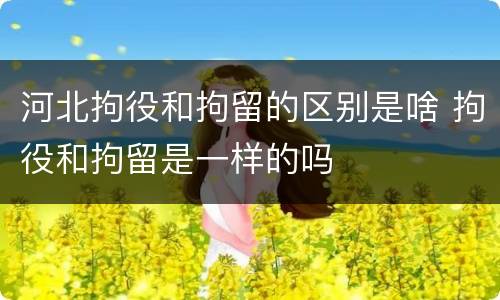 河北拘役和拘留的区别是啥 拘役和拘留是一样的吗