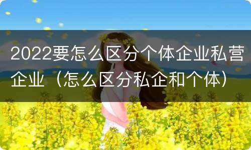 2022要怎么区分个体企业私营企业（怎么区分私企和个体）