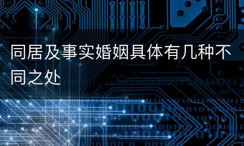同居及事实婚姻具体有几种不同之处