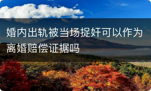 婚内出轨被当场捉奸可以作为离婚赔偿证据吗