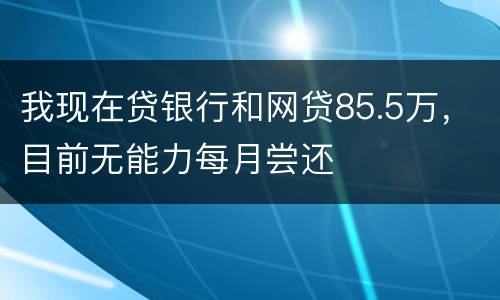我现在贷银行和网贷85.5万，目前无能力每月尝还