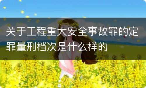 关于工程重大安全事故罪的定罪量刑档次是什么样的