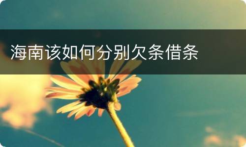 海南该如何分别欠条借条
