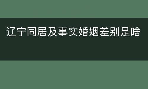 辽宁同居及事实婚姻差别是啥