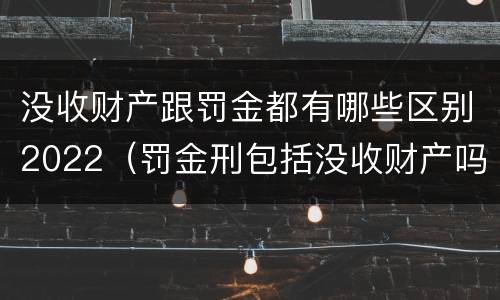 没收财产跟罚金都有哪些区别2022（罚金刑包括没收财产吗?）