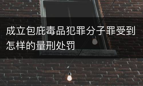 成立包庇毒品犯罪分子罪受到怎样的量刑处罚