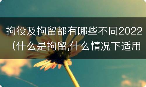 拘役及拘留都有哪些不同2022（什么是拘留,什么情况下适用拘留）