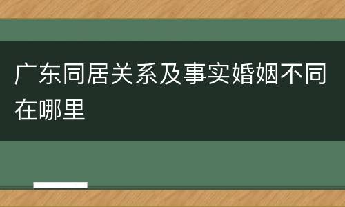 广东同居关系及事实婚姻不同在哪里