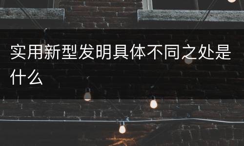 实用新型发明具体不同之处是什么