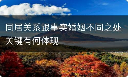 同居关系跟事实婚姻不同之处关键有何体现