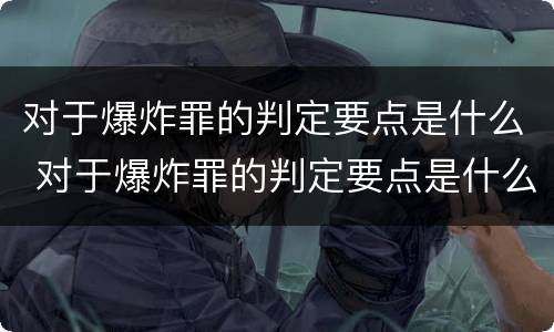 对于爆炸罪的判定要点是什么 对于爆炸罪的判定要点是什么意思